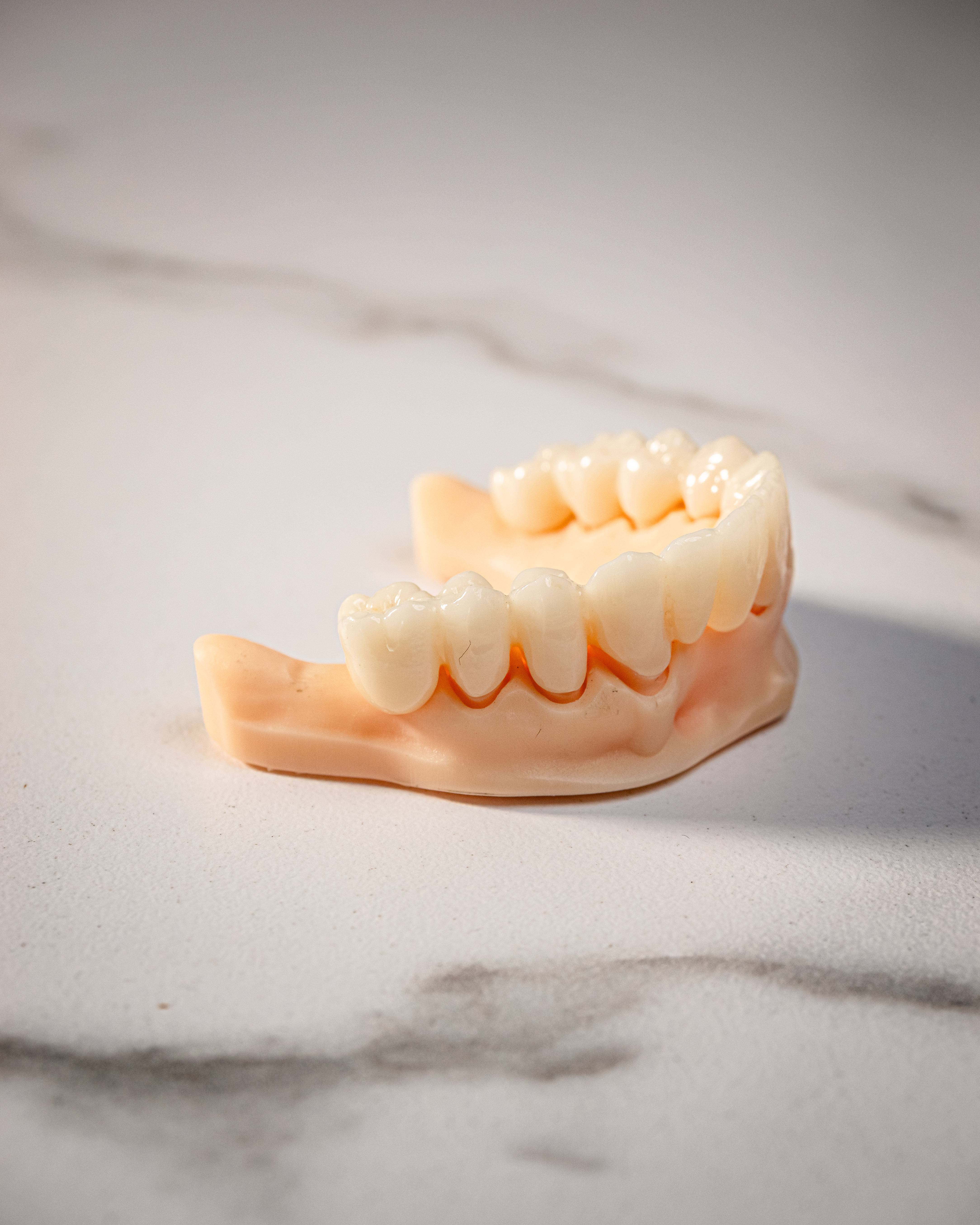 Rehabilitación oral